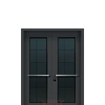 Koyu Cam Panel Çift Kompozit Kapı Modeli YC 100